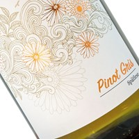[ORRO] Montepulciano Vino Rosato “Orsus”